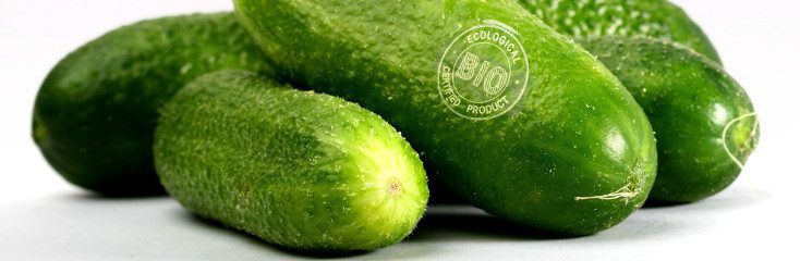 cucumber_macsa_blog_marking